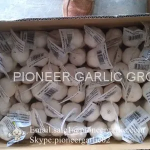 New Crop Fresh Chinese Pure White Garlic (5.0cm, 5.5cm, 6.0cm)Box Packing thumbnail-3