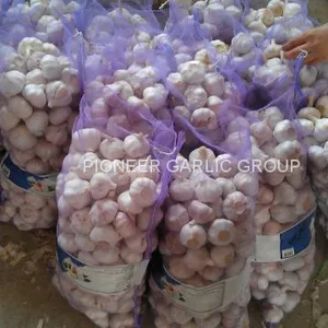 5.5cm And Up Red Garlic Loose Packing In 20kg Mesh Bag thumbnail-1