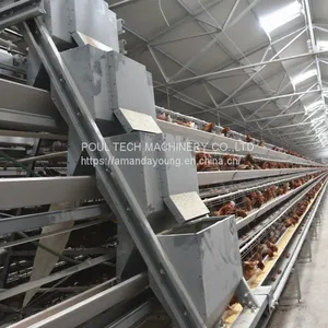 Selling Poultry Layer Chicken Cage for Poultry Farm thumbnail-1