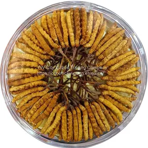 Chinese Dried Herbs 100 Natural Cordyceps Sinensis thumbnail-1