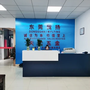 Dongguan I Am Flying Industry Co.,Ltd company overview - view 2 thumbnail