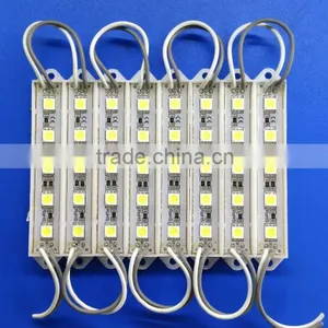 SMD 5050 5chips DC12 With High Brightnessf for Outdoor Advertising and Sign thumbnail-2