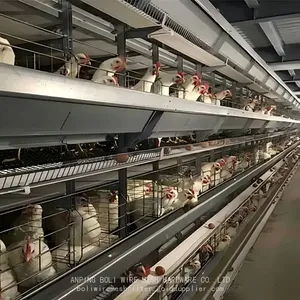 Best Price Egg Layer Chicken Farm Laying Hens Poultry Automatic Battery Cages for Sale Customized BOLI thumbnail-5