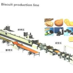 Small Hard Soft Biscuit Packing Line Making Machine Stainless Steel Production Line thumbnail-6