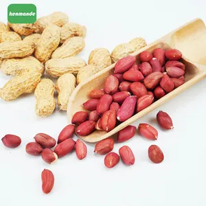 Selected Intact Red Coat Round Red Peanut Kernels 50/60 for Direct Roasting thumbnail-5