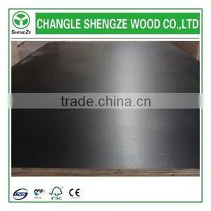Film Faced Plywood for Construction thumbnail-3