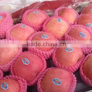 2015 Shandong Origin Fresh Fuji Apple thumbnail-2