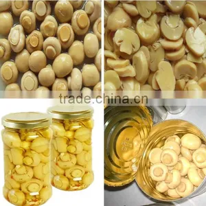 High Quality Canned Whole Button Mushroom thumbnail-1