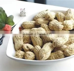 Chinese Roasted Peanut Inshell thumbnail-1