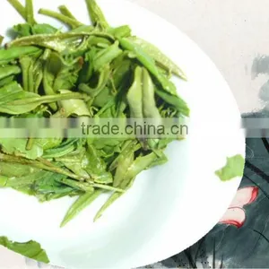 Green Tea Dragon Well thumbnail-1