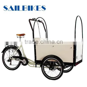Morden Electric Cargo Trike for Family thumbnail-5