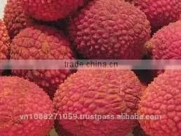 Canned Fresh Lychee in Syrup - 20 oz Tin (580ml x 12 Tins) thumbnail-1