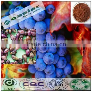 GMP 95% Proanthocyanidine Grape Seed Extract (high Orac Value) thumbnail-1