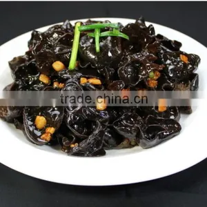 Perfect Black Fungus Mushrooms thumbnail-6