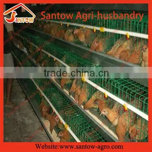 Chicken Use Welded Wire Chicken Layer Cages Baby Chicken Brooder thumbnail-6