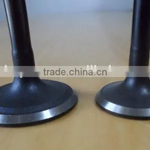 056109601A & 056109611A Engine Valve for Passat thumbnail-4