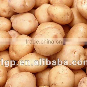 Potato thumbnail-1