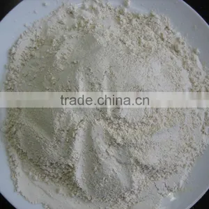 BEST DRY GARLIC POWDER FOR SELL thumbnail-1