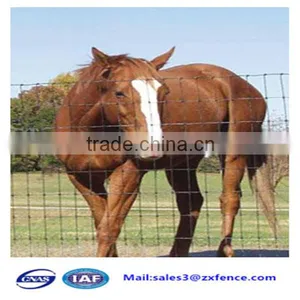 Factory Direct Cheap Heavy Duty Sheep Fence,horse Fence,cattle Fence thumbnail-5