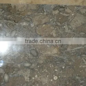 Fossil Brown Good Quality Polished Marbles for Flooring & Roofing Muscat thumbnail-2