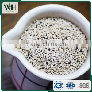 Reliable Pakistan White Sesame Supplier thumbnail-1