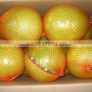 Fresh Grapefruit Pomelo thumbnail-1