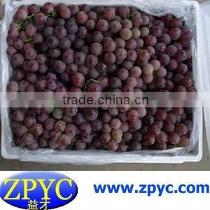 Fresh Red Grape thumbnail-1
