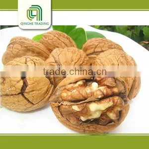 Dried Fruit Walnut and Walnut Kernels Walnut Without Crust for Sale thumbnail-1