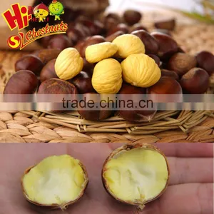 Wholesale Healthy Snacks Packaged Chinese Chestnuts thumbnail-6