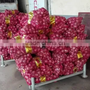 Fresh Yellow/Red Onion Supplier/Producer/Farmer thumbnail-6