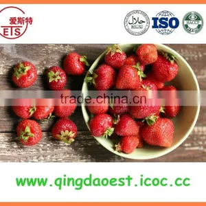 2016 New Crop Best Quality Fresh Strawberry for Sale thumbnail-1