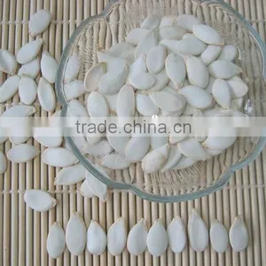 Quality Supplier Snow White Melon Pumkin Seeds thumbnail-1