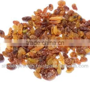 New Crop 2014 Malyar Raisin B Grade thumbnail-1