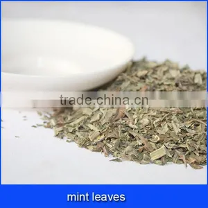 Mint Leaves thumbnail-1