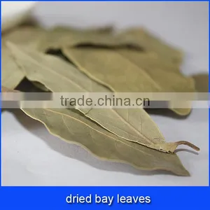 Dried Bay Leaves thumbnail-1