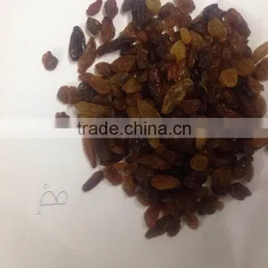 Raisins thumbnail-2