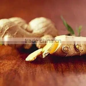100% Organic Gan Jiang Extract Powder thumbnail-1