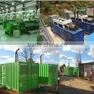 Small Biogas Generator 30KW for Sale/ Waste to Energy Power Plant thumbnail-1