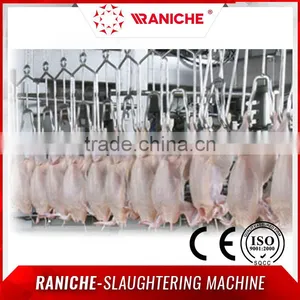 Poultry Chicken Slaughterhouse Equipment thumbnail-1
