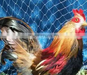 Hen House for Aviculture/breeding Mesh Fence thumbnail-2