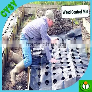 PP/PE Woven Fabric 90gsm-140gsm Black/green Ground Cover,weed Barrier Fabrics, Weed Mat Ground Cover thumbnail-1