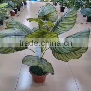 SJ12001162 Name Potted Decorative Foliage Plant Plastic Plant Indoor thumbnail-3