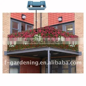 Gazebo Green Wall thumbnail-1