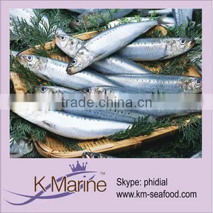 Different Size Fish Frozen Sardine Lot Number#kmw4004 thumbnail-1