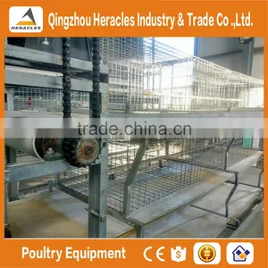 Trade Assurance Factory Price H Type Chicken Layer Cage for Broiler thumbnail-1