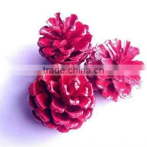 Decorative Red Pine Cones thumbnail-1