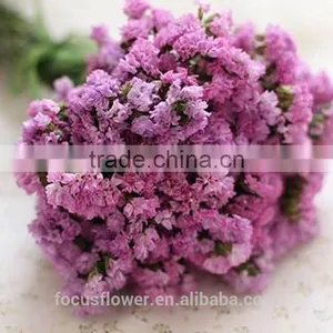 Perennial Flowering Plant Statice Flower 1kg/bundle Wholesalefarms Directly Supply From China thumbnail-3
