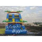 Outdoor Forest Winflatable Water Slide Promotion For Kids Birthday Party thumbnail-1