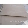 CE / FSC Hardwood Plywood thumbnail-2
