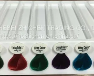 Detachable Hair Color Chart thumbnail-4
